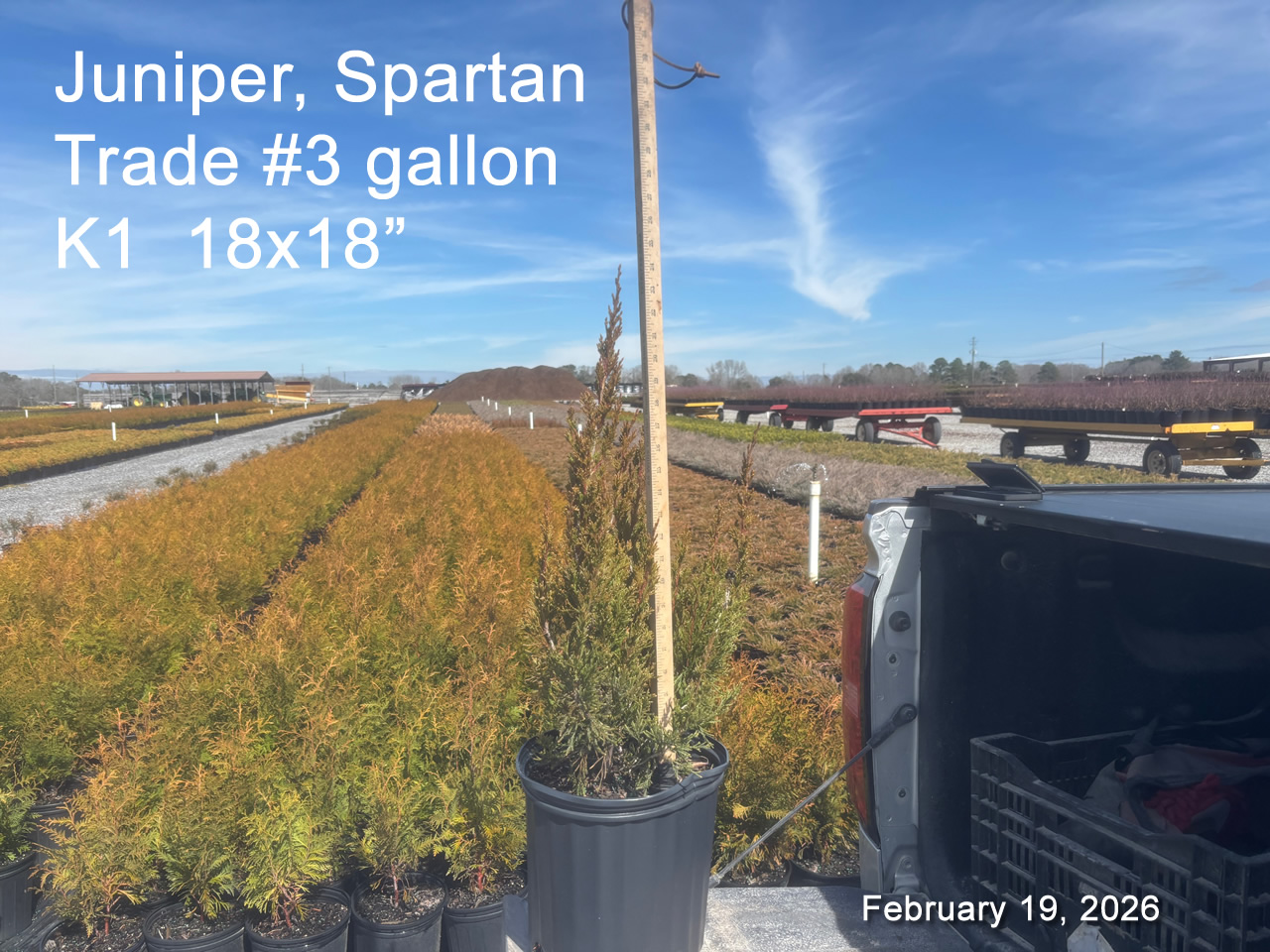 gallery/jsp3t k1 feb17.jpg